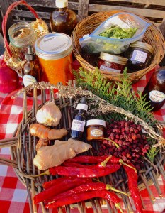 Herbal Workshop photo M. Szijarto