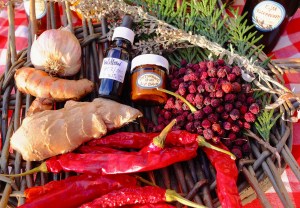 Herbal workshop promo photo M.Szijarto